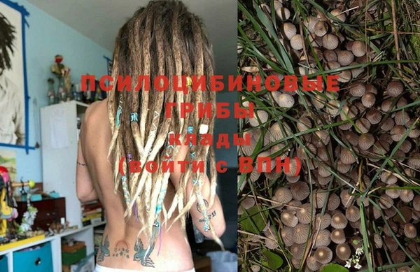 a pvp Белокуриха