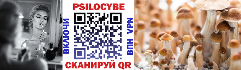 Галлюциногенные грибы Cubensis  Красный Холм 